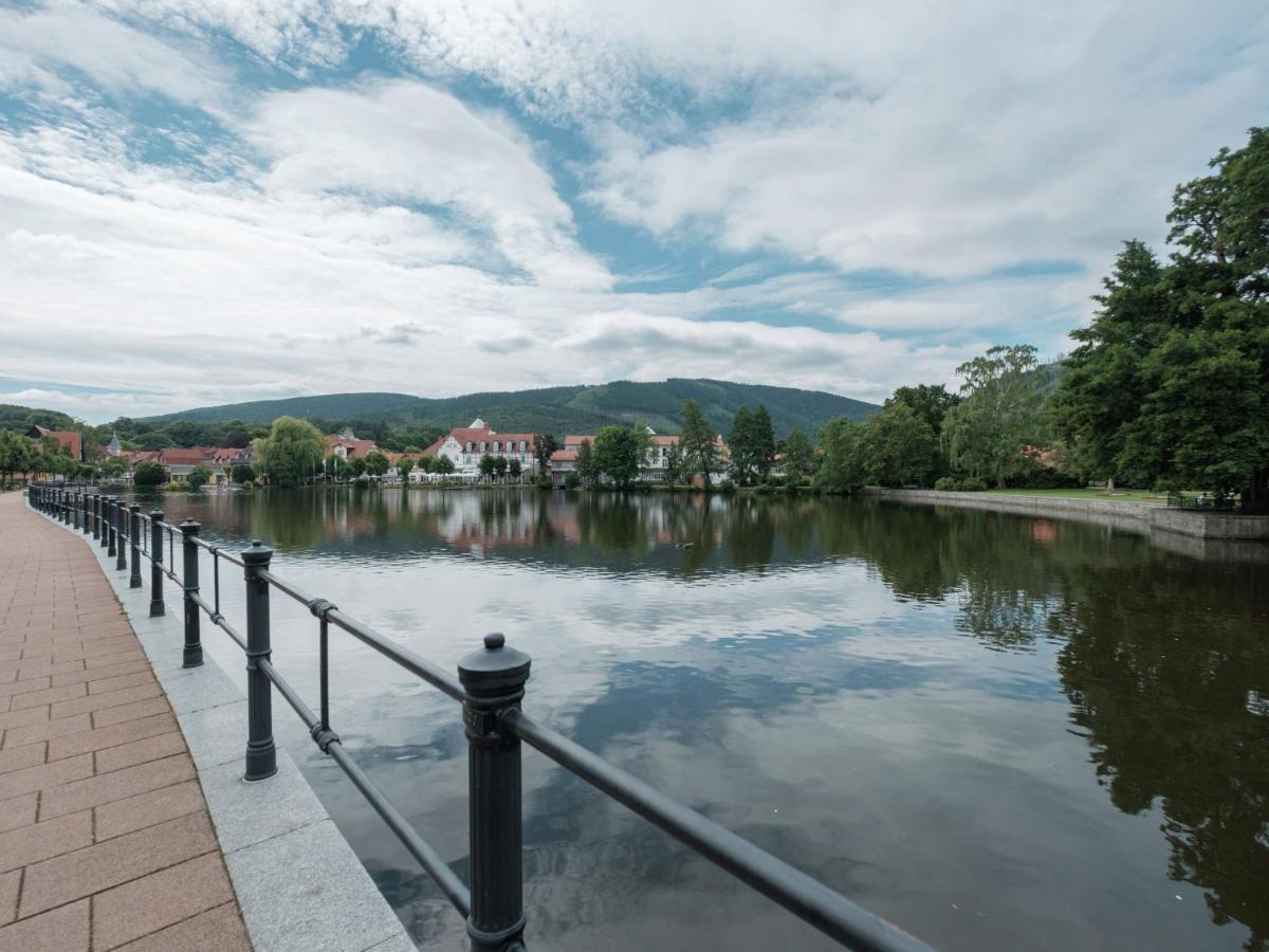 Attractive Bungalow In Ilsenburg With Terrace Екстер'єр фото